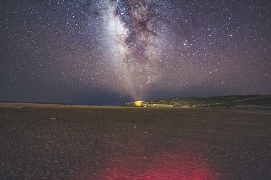 Crawler Of The Night