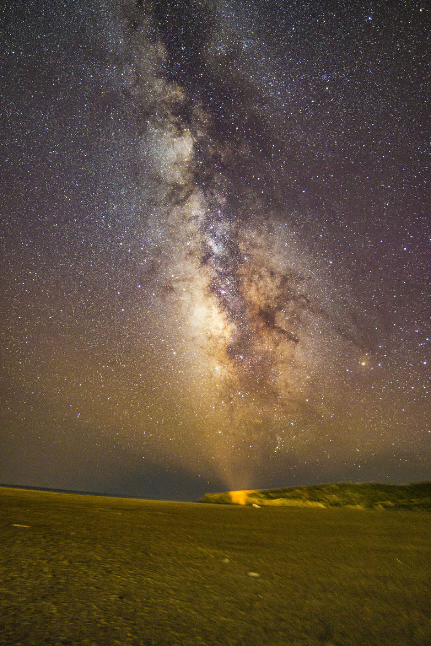 Crawler Of The Night