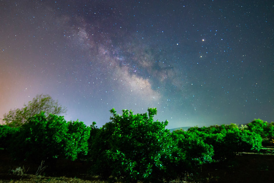 Crawler Of The Night Crawler Of The Night