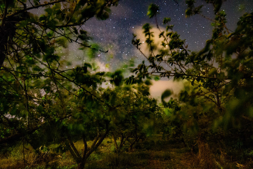 Crawler Of The Night Crawler Of The Night