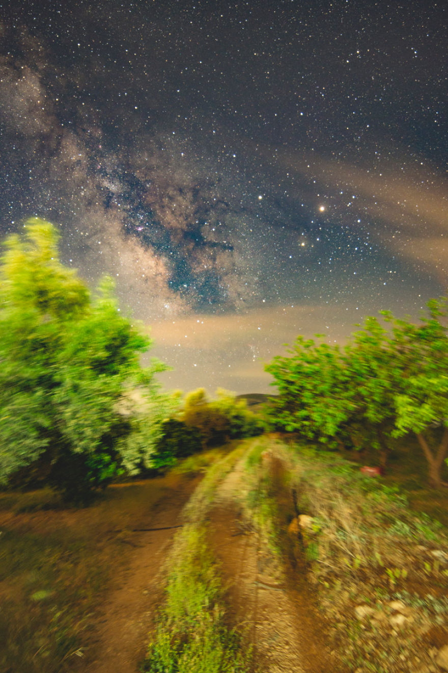 Crawler Of The Night Crawler Of The Night