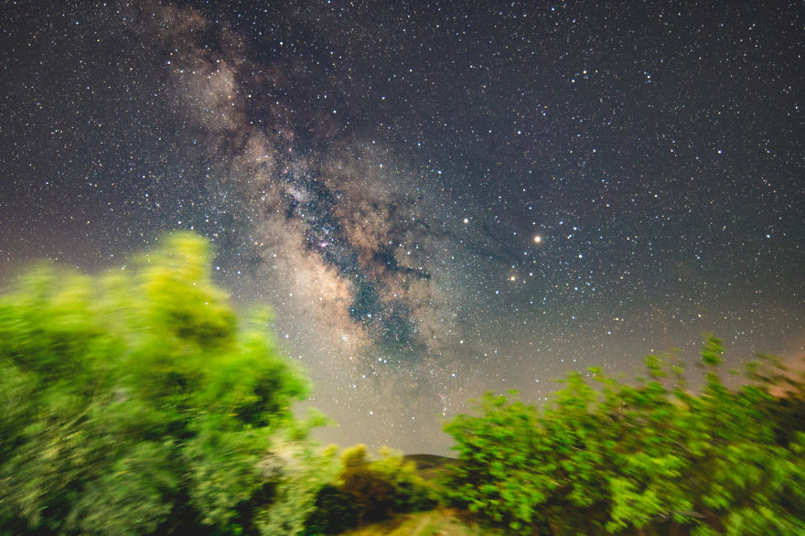 Crawler Of The Night Crawler Of The Night