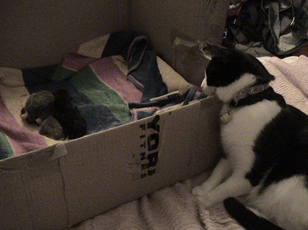 "1 Day Gone And I'm Knackered Already!"