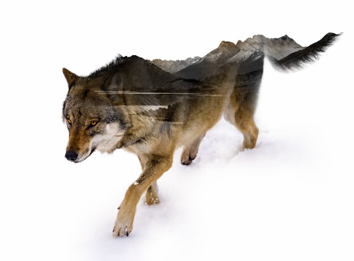 Double Exposure Portraits Where I Merge Two Worlds Into One Double Exposure Portraits Where I Merge Two Worlds Into One