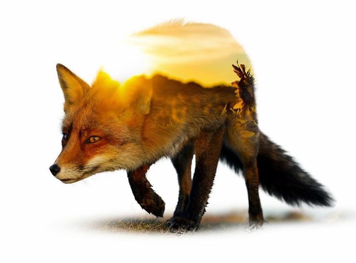 Double Exposure Portraits Where I Merge Two Worlds Into One Double Exposure Portraits Where I Merge Two Worlds Into One