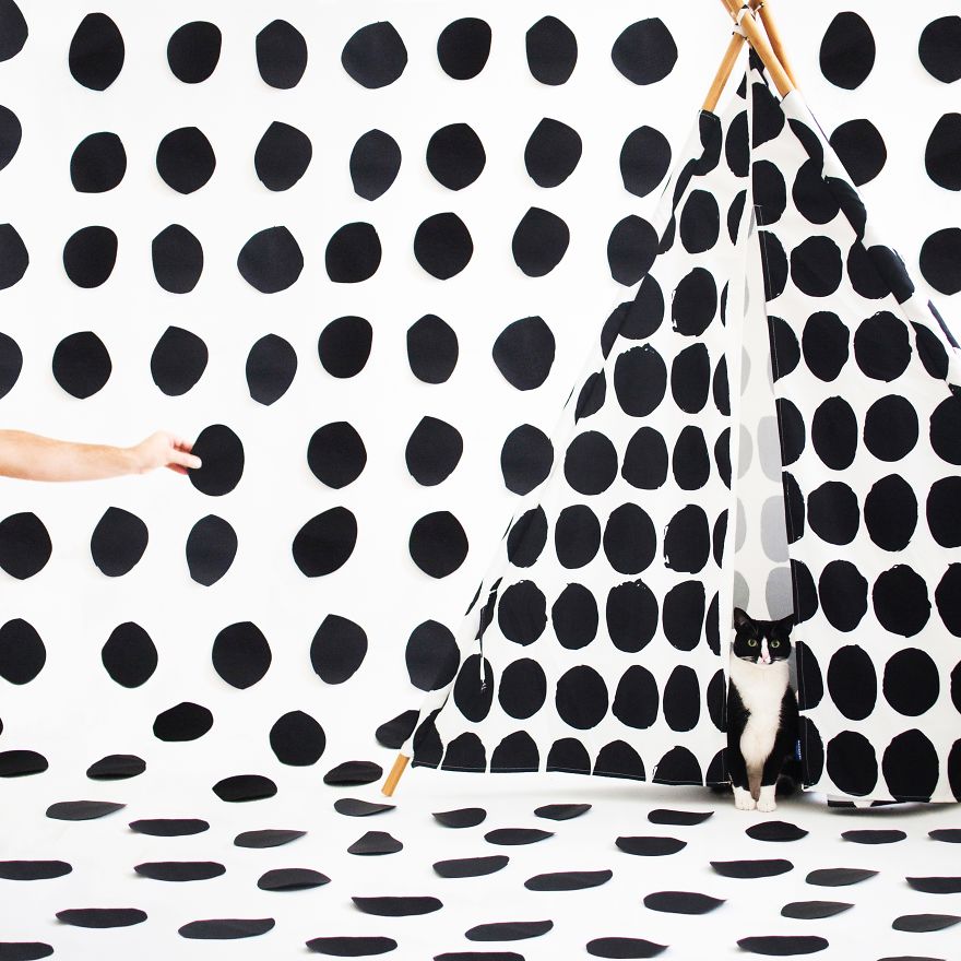 Escaping Reality With Princess Cheeto