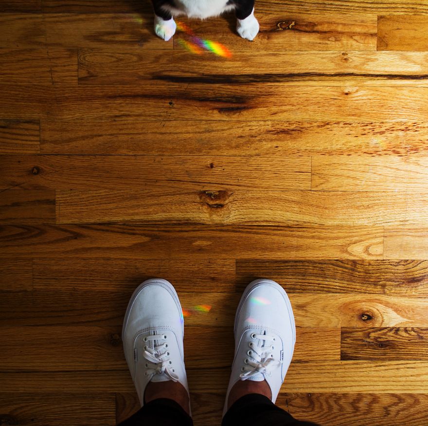 Escaping Reality With Princess Cheeto