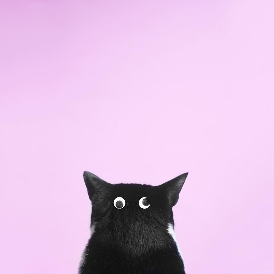 Escaping Reality With Princess Cheeto