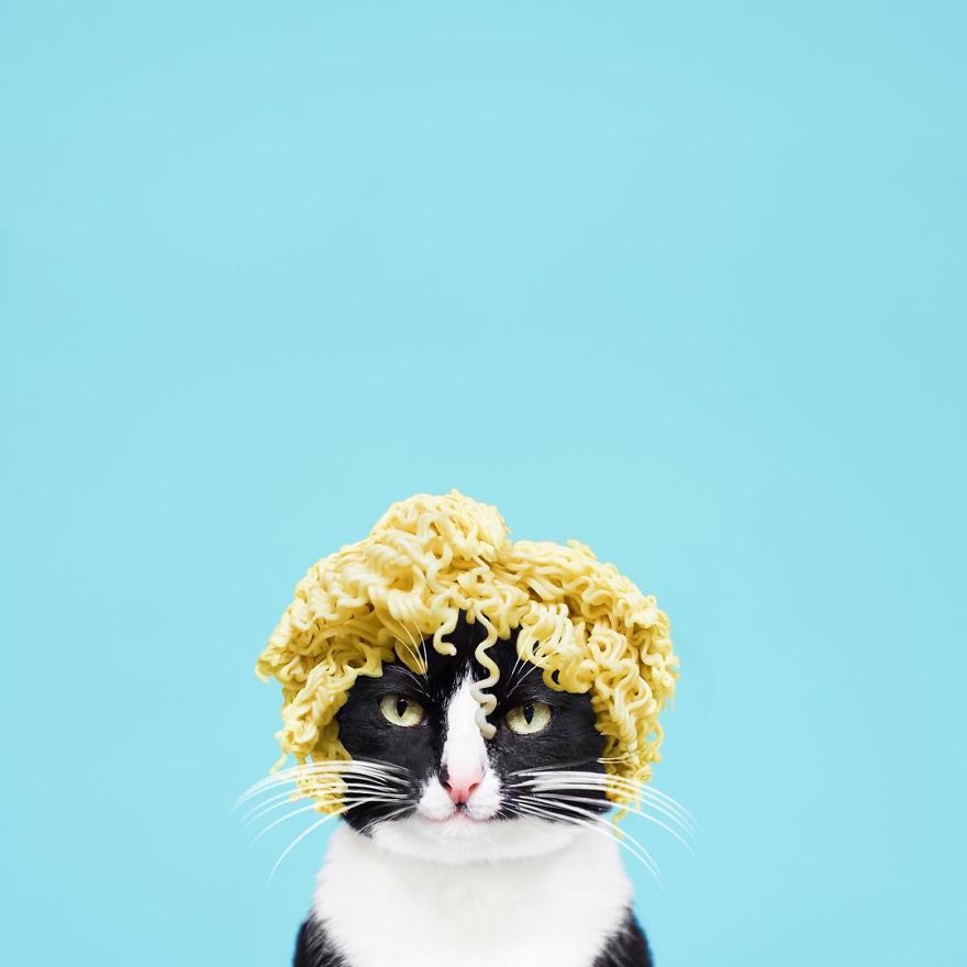 Escaping Reality With Princess Cheeto