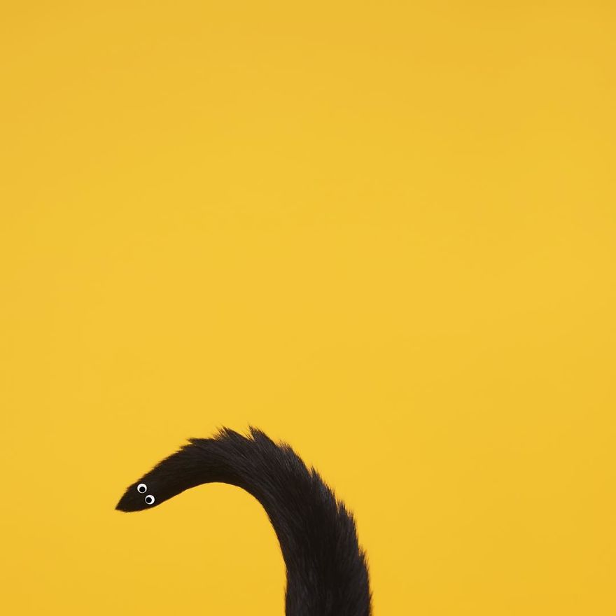 Escaping Reality With Princess Cheeto