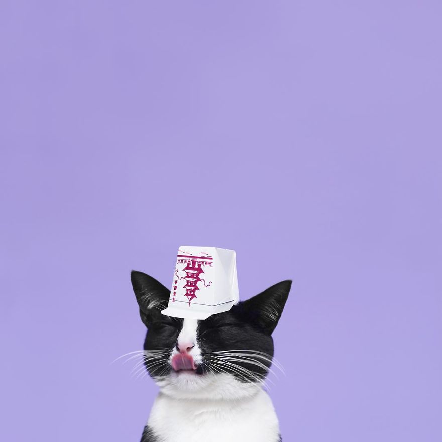 Escaping Reality With Princess Cheeto