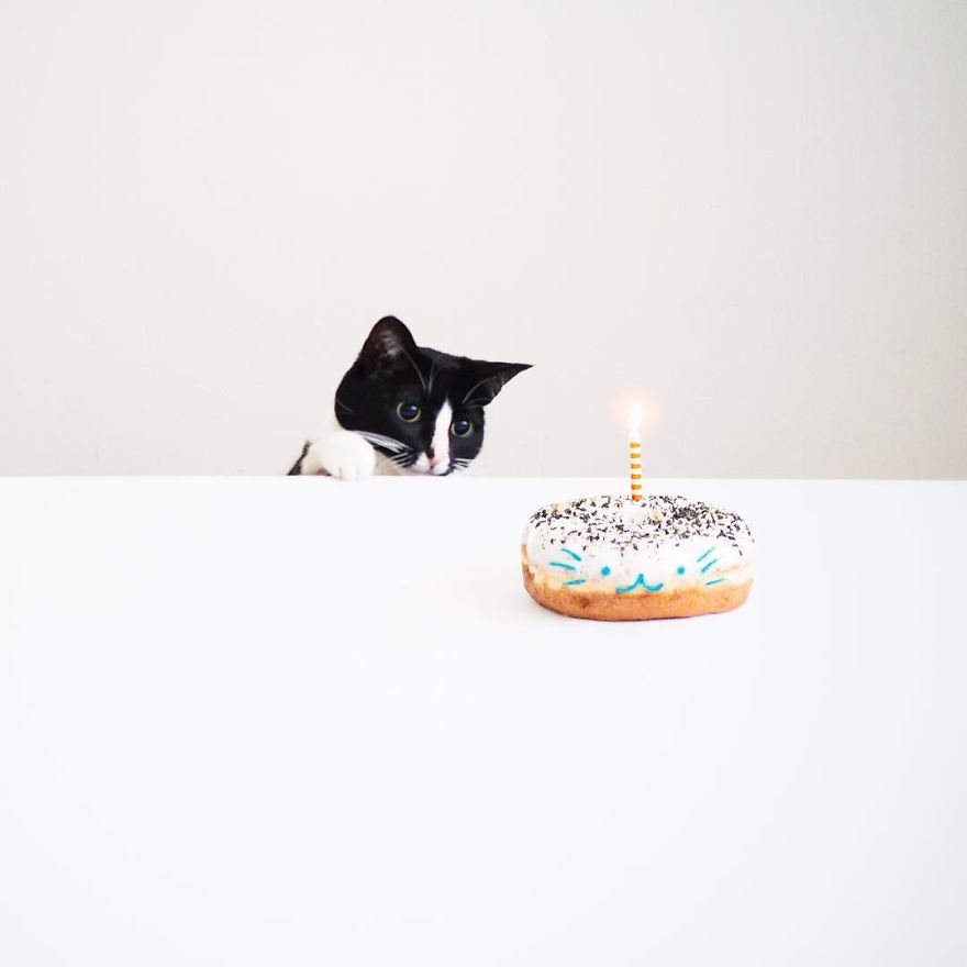 Escaping Reality With Princess Cheeto