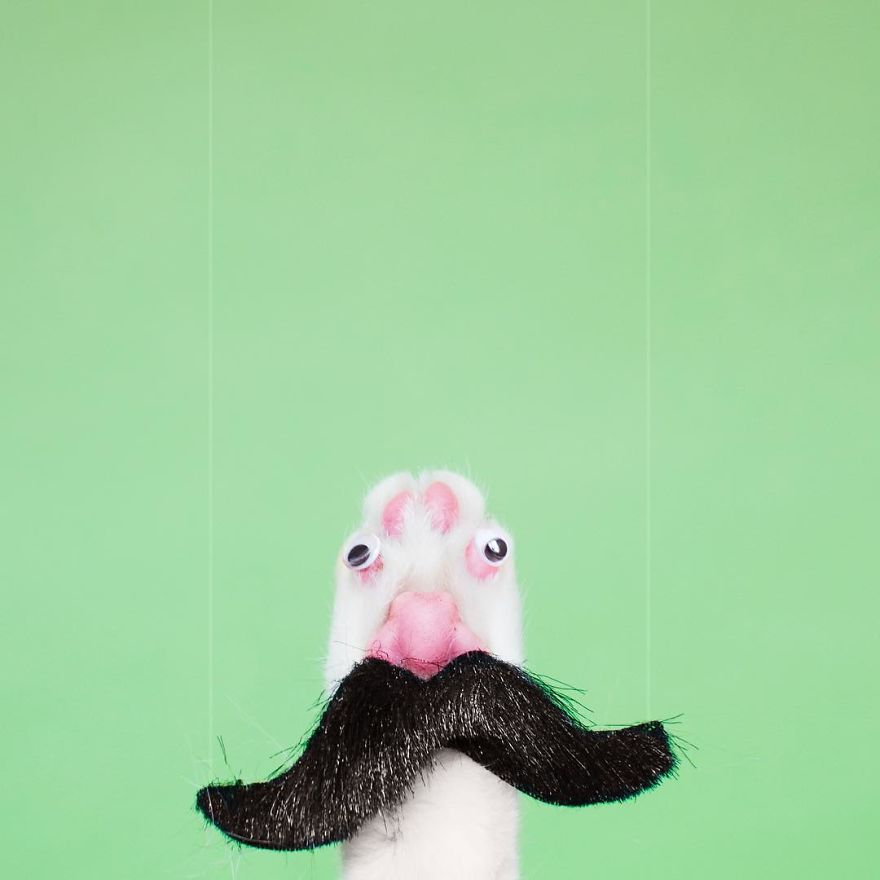 Escaping Reality With Princess Cheeto