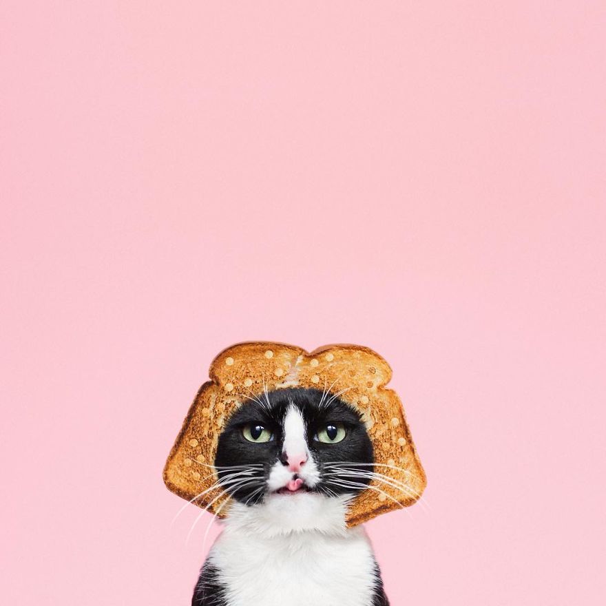 Escaping Reality With Princess Cheeto