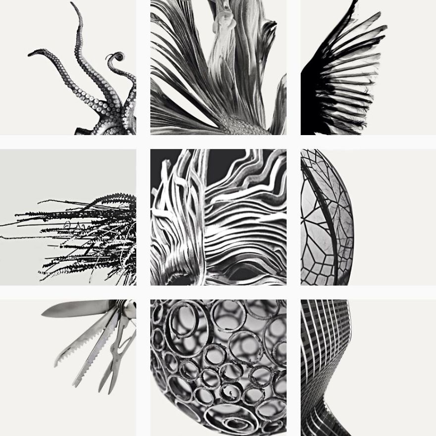 This Instagram Only Makes Sense When You See The Bigger Picture This Instagram Only Makes Sense When You See The Bigger Picture