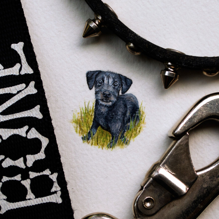 Pet Commission. A Pet Portrait For Client Husband's Birthday