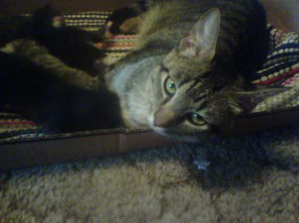 Have Kids, They Said. It'll Be Fun, They Said.