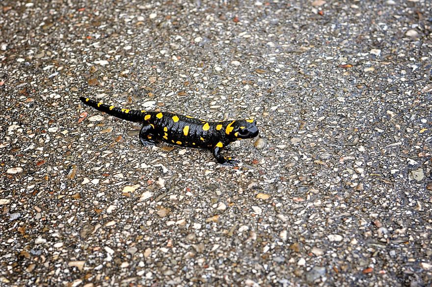 I Travelled To Hallstatt To Discover How This Famous City Really Looks Like I Travelled To Hallstatt To Discover How This Famous City Really Looks Like