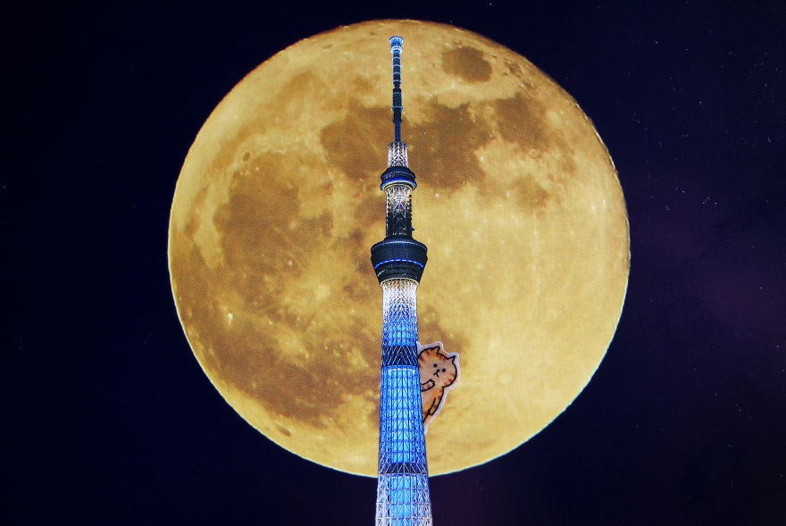 I Add Lazy Cats Stickers To Japanese Postcards I Add Lazy Cats Stickers To Japanese Postcards