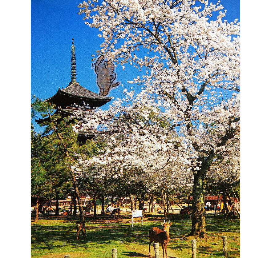 I Add Lazy Cats Stickers To Japanese Postcards I Add Lazy Cats Stickers To Japanese Postcards