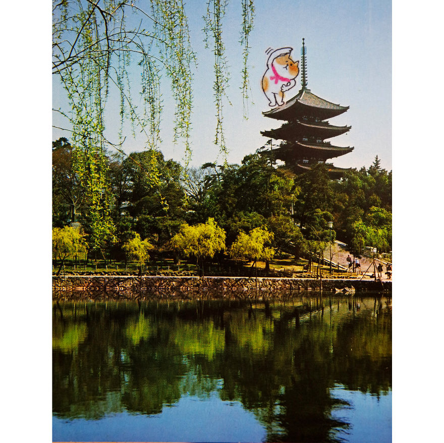 I Add Lazy Cats Stickers To Japanese Postcards