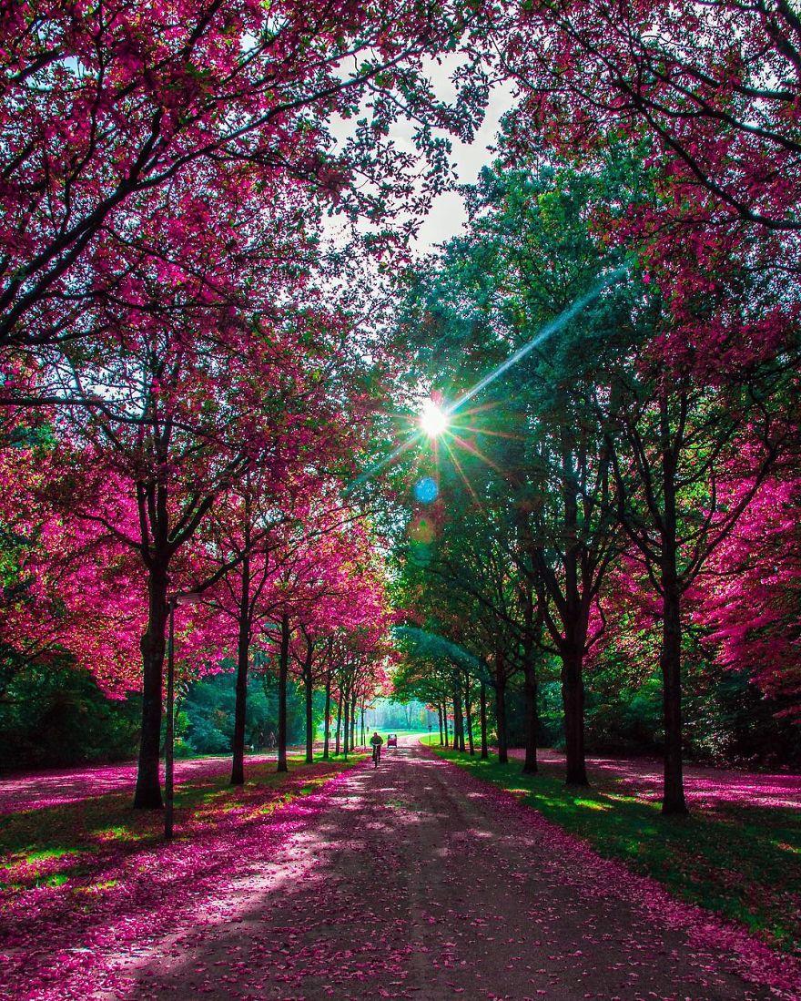 I Collected My Favorite Places That I Will Visit Oneday