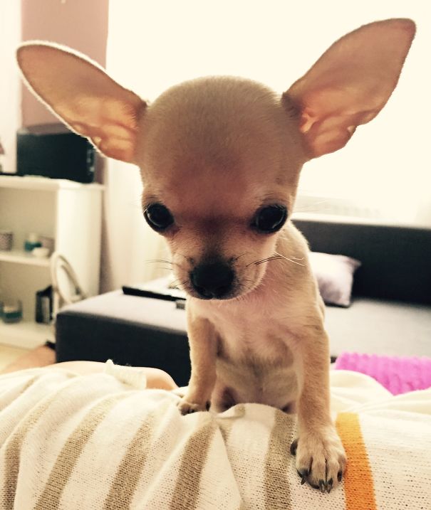 What? Did I Hear "food"?