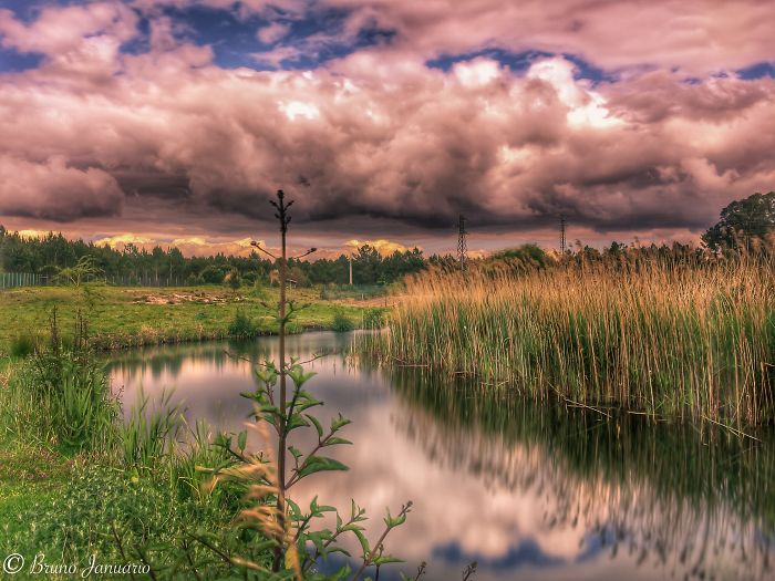 Small Pound - Nazaré (portugal) 6s Plus