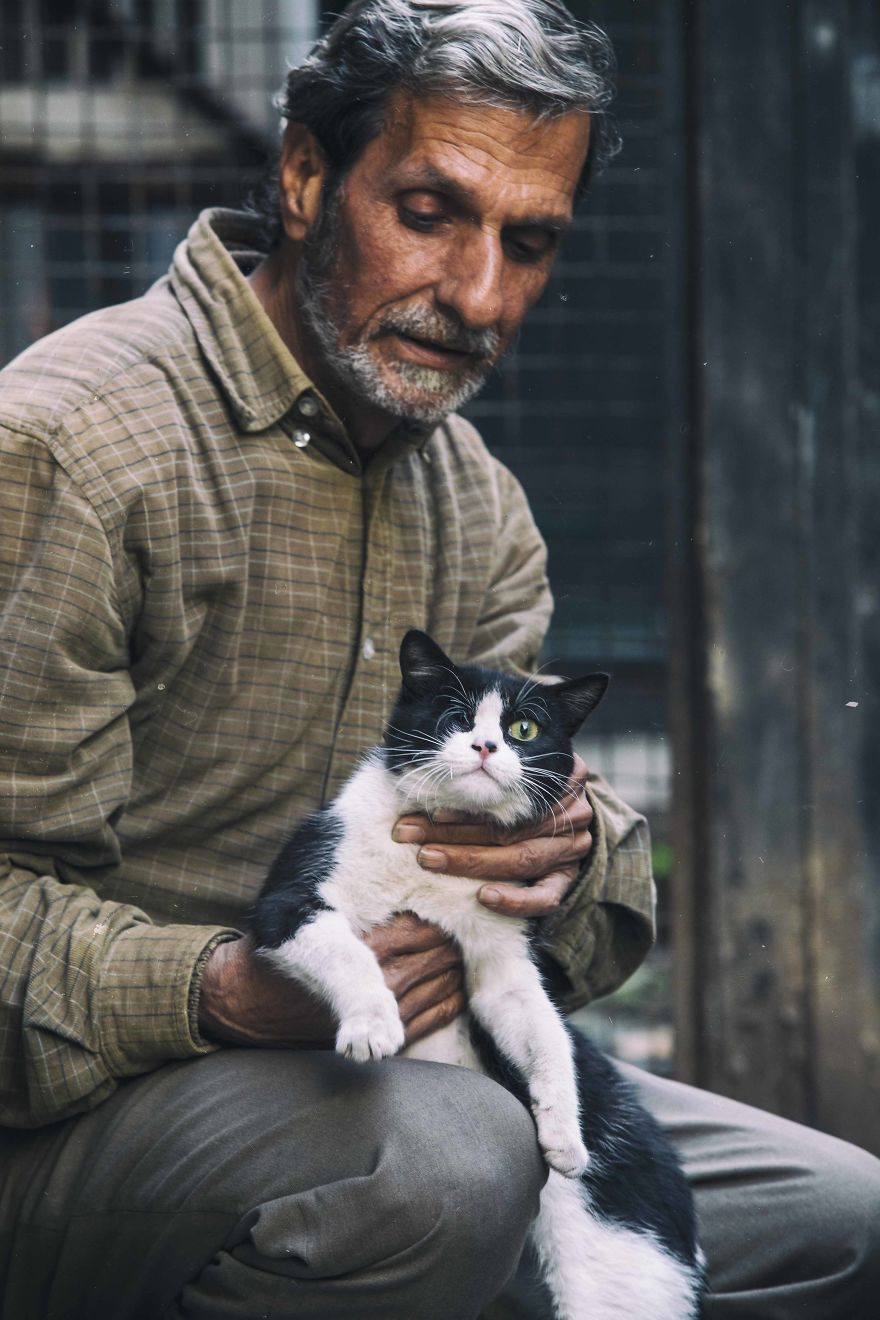 I Documented The Life Of A Homeless Cat For A Day