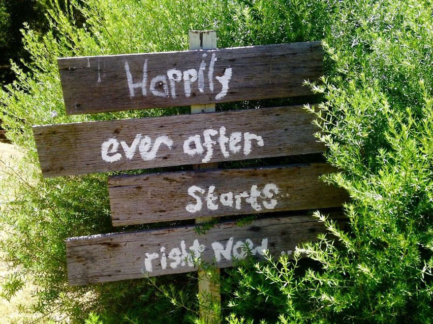 I Started To Take (very) Amateur Photos