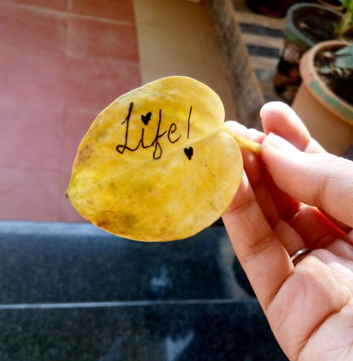 Always Live To The Fullest