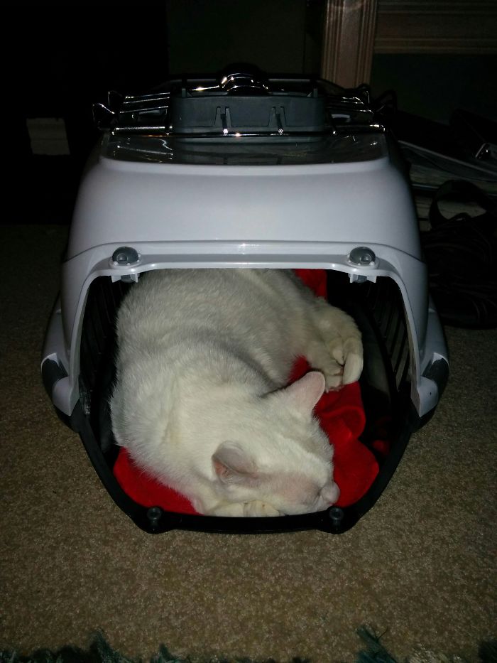 I Mock You, Cage Of Car Trips!