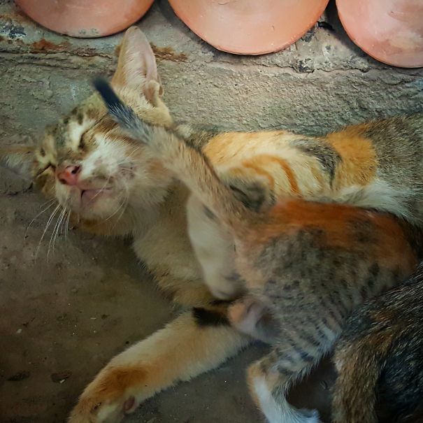 Jhalli Totally Killin It With Motherhood, Butt On