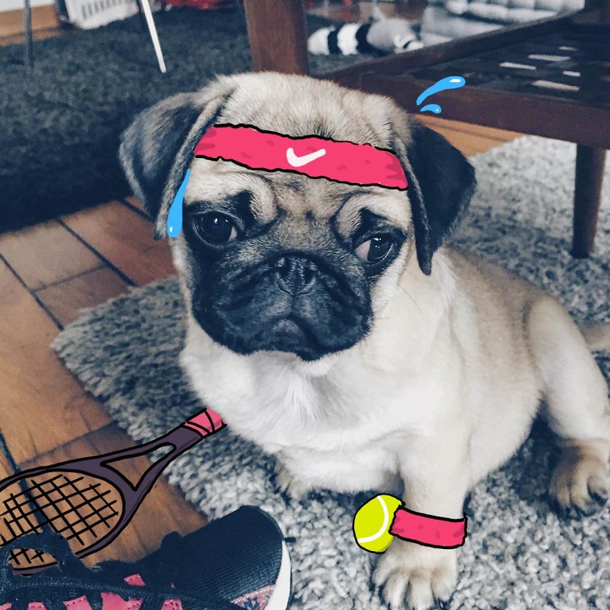 Pug Mcenroe