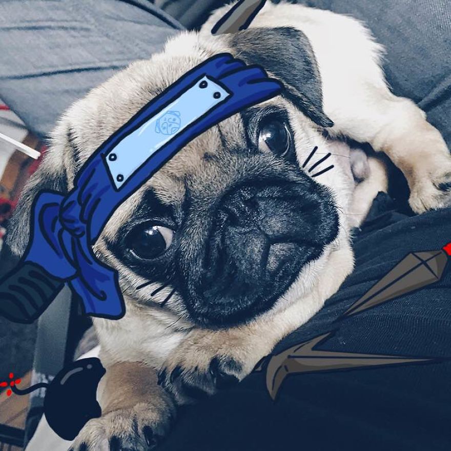 Narupug