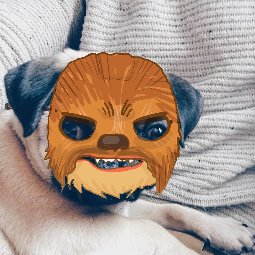 The Happiest Pug On Earth