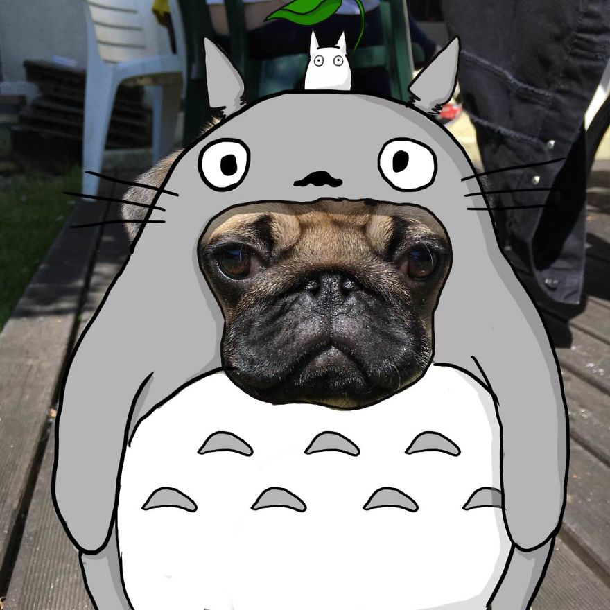 Totopug