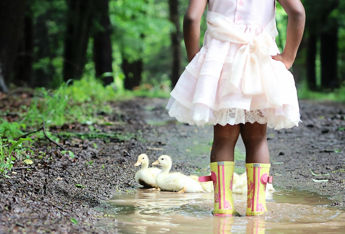 Ducklings And The Flower Princess