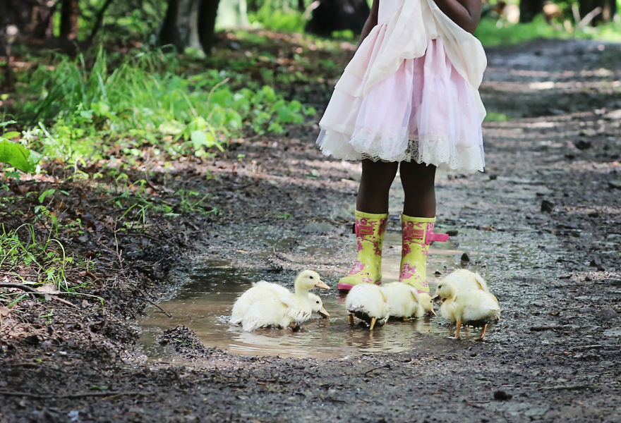 Ducklings And The Flower Princess