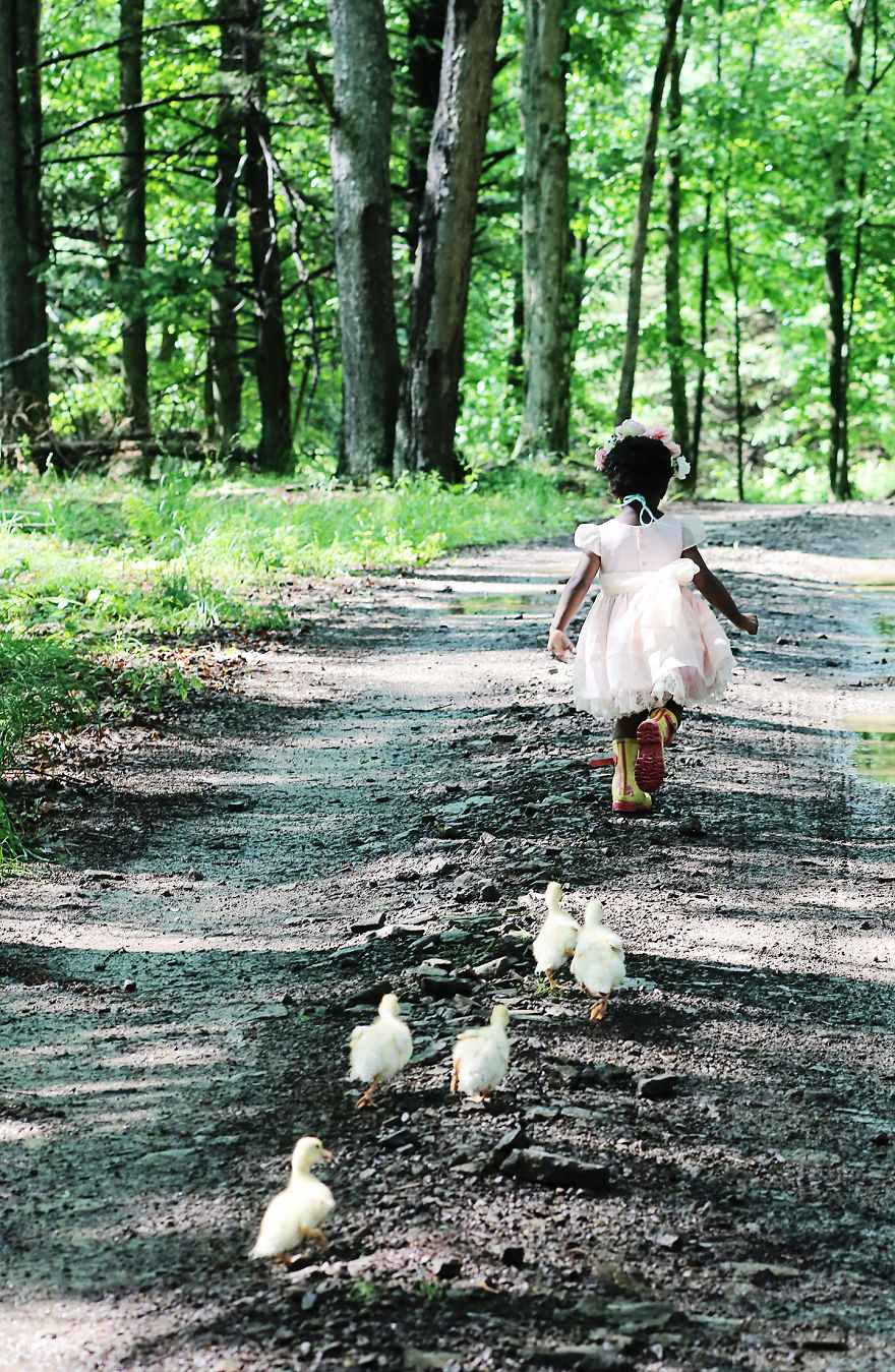 Ducklings And The Flower Princess