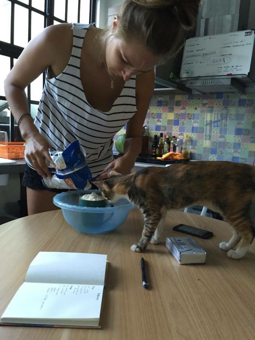 A Cat That We Adopted Became My Biggest Stalker