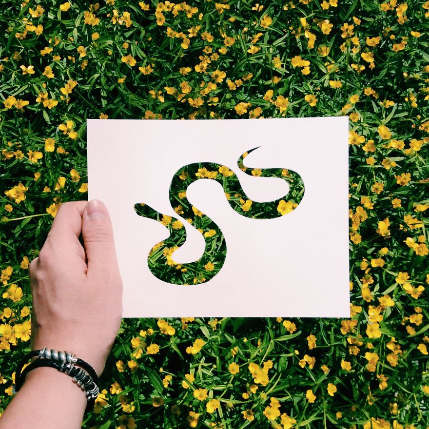 I Use Nature To Color Animal Paper Silhouettes (Part 2)