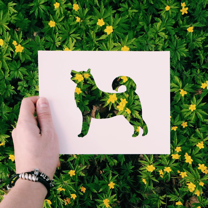 I Use Nature To Color Animal Paper Silhouettes (Part 2)