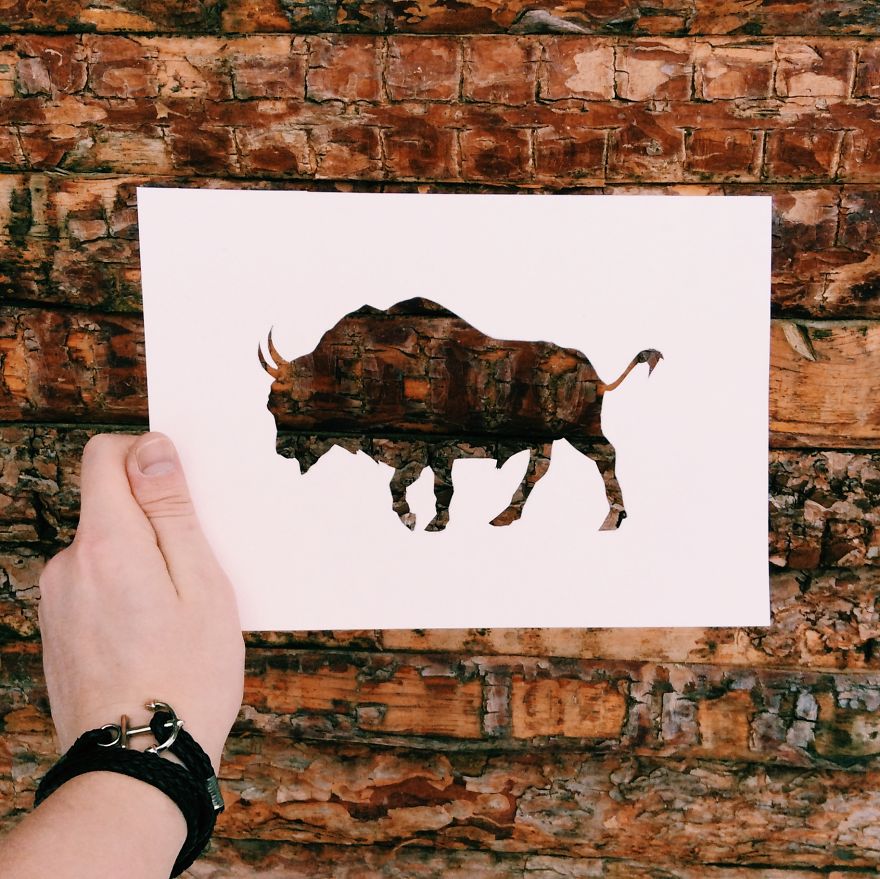 I Use Nature To Color Animal Paper Silhouettes (Part 2)