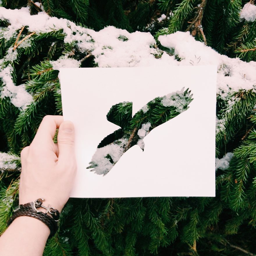 I Use Nature To Color Animal Paper Silhouettes (Part 2)