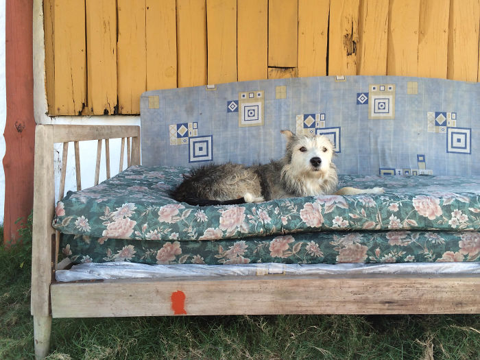 Simplicity- Cabo Polonio, Uruguay