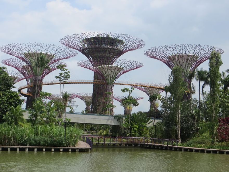 I Started To Take (very) Amateur Photos