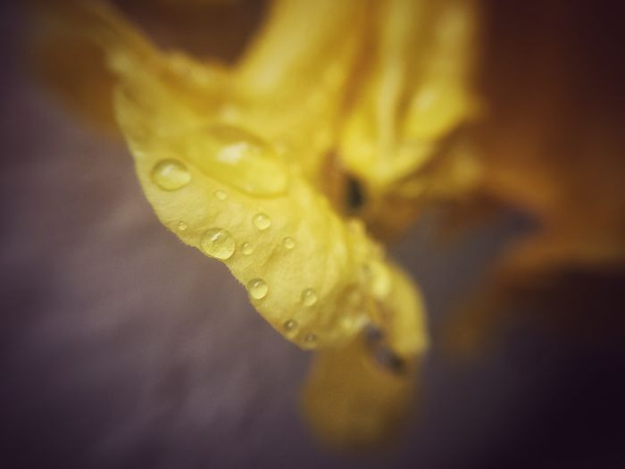 Beauty After The Rain!