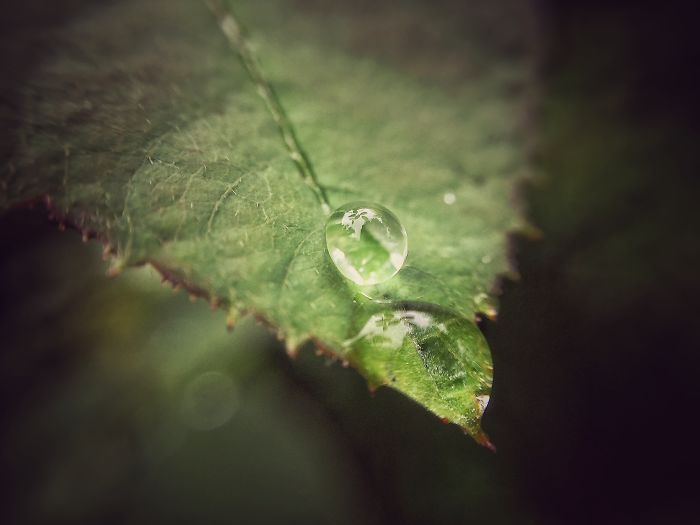 Love From Mother Nature!