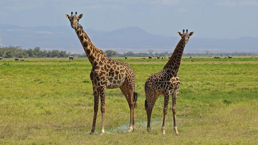 I Photograph My Trips Hoping That It Will Inspire People To Travel